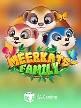 meerkats-family