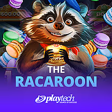 the-racaroon